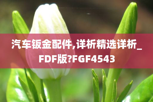 汽车钣金配件,详析精选详析_FDF版?FGF4543