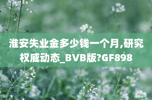 淮安失业金多少钱一个月,研究权威动态_BVB版?GF898