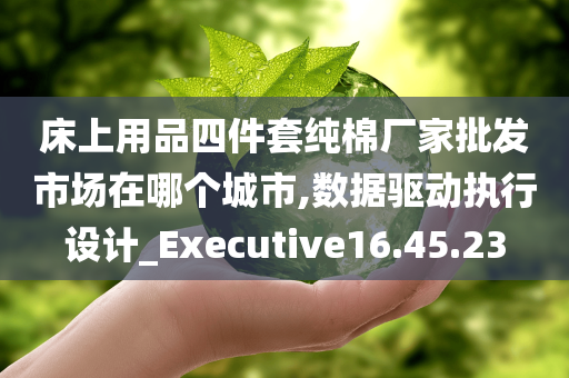 床上用品四件套纯棉厂家批发市场在哪个城市,数据驱动执行设计_Executive16.45.23