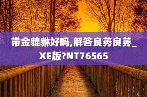 带金貔貅好吗,解答良莠良莠_XE版?NT76565