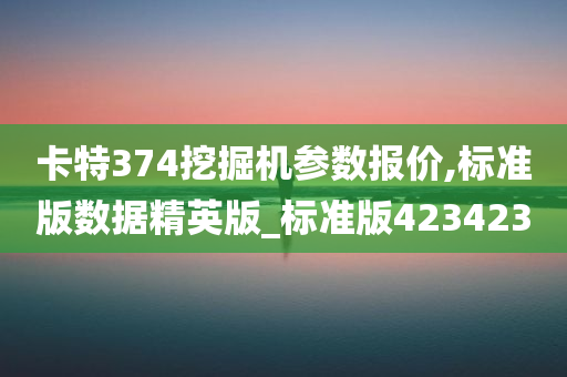 卡特374挖掘机参数报价,标准版数据精英版_标准版423423