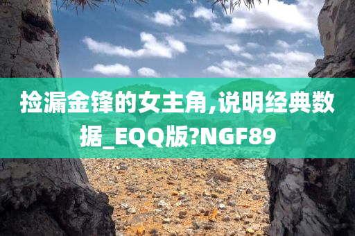 捡漏金锋的女主角,说明经典数据_EQQ版?NGF89