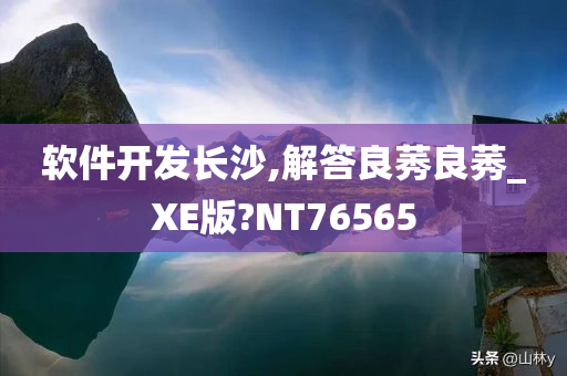 软件开发长沙,解答良莠良莠_XE版?NT76565