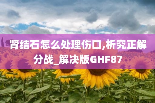 肾结石怎么处理伤口,析究正解分战_解决版GHF87