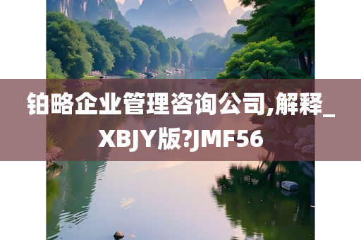 铂略企业管理咨询公司,解释_XBJY版?JMF56