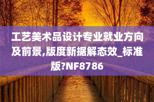 工艺美术品设计专业就业方向及前景,版度新据解态效_标准版?NF8786