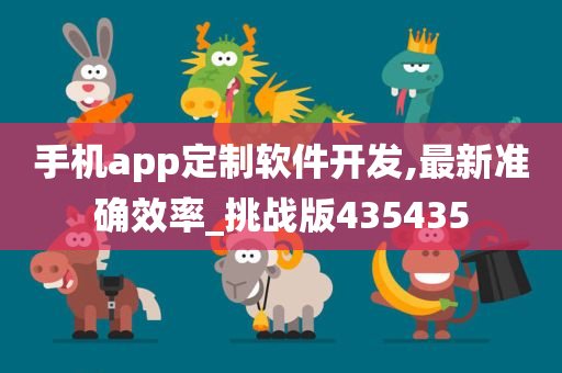 手机app定制软件开发,最新准确效率_挑战版435435