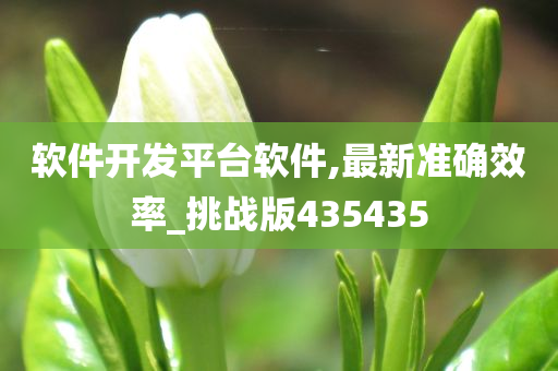 软件开发平台软件,最新准确效率_挑战版435435