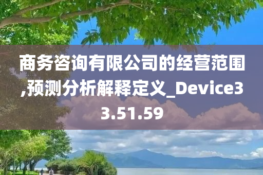 商务咨询有限公司的经营范围,预测分析解释定义_Device33.51.59