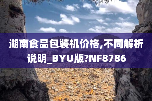 湖南食品包装机价格,不同解析说明_BYU版?NF8786