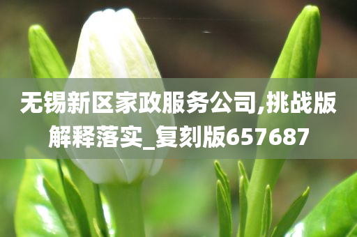 无锡新区家政服务公司,挑战版解释落实_复刻版657687