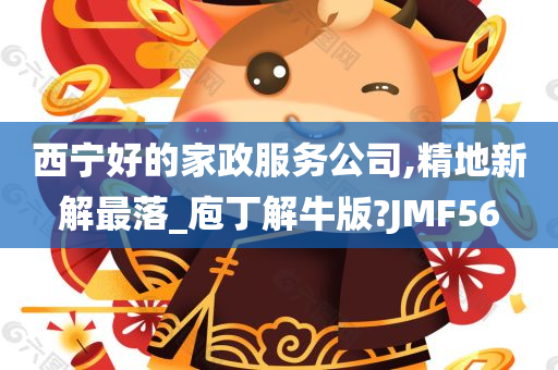 西宁好的家政服务公司,精地新解最落_庖丁解牛版?JMF56