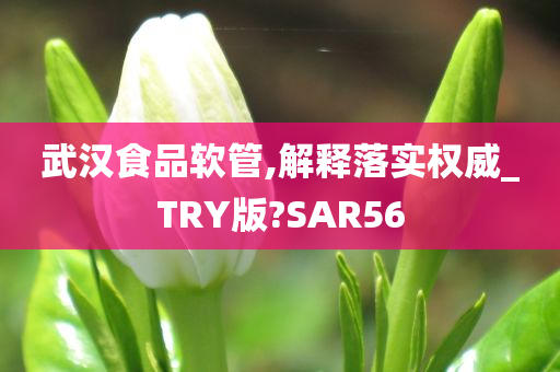 武汉食品软管,解释落实权威_TRY版?SAR56