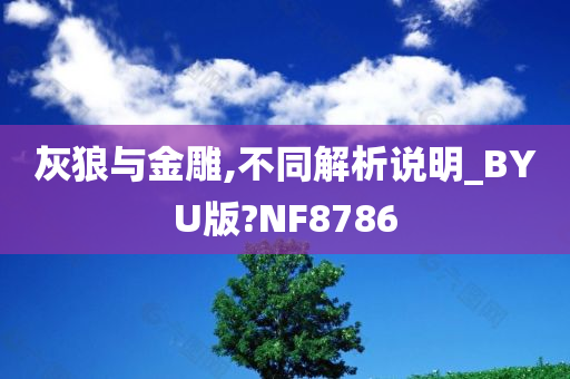 灰狼与金雕,不同解析说明_BYU版?NF8786