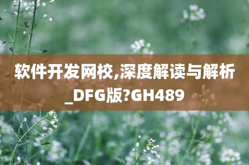 软件开发网校,深度解读与解析_DFG版?GH489