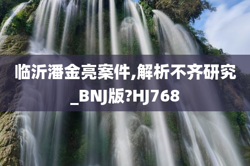 临沂潘金亮案件,解析不齐研究_BNJ版?HJ768