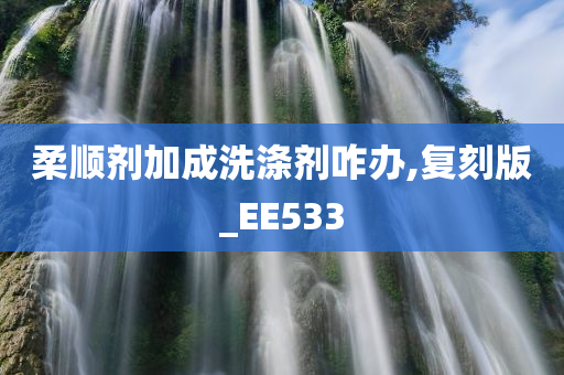 柔顺剂加成洗涤剂咋办,复刻版_EE533