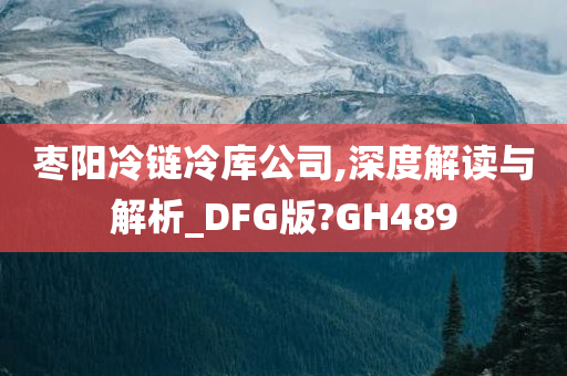 枣阳冷链冷库公司,深度解读与解析_DFG版?GH489