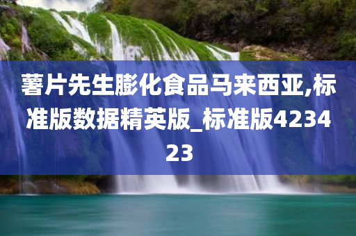 薯片先生膨化食品马来西亚,标准版数据精英版_标准版423423