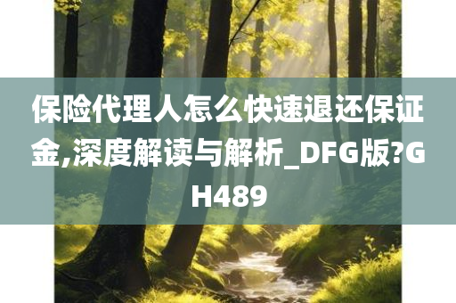 保险代理人怎么快速退还保证金,深度解读与解析_DFG版?GH489