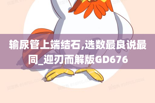 输尿管上端结石,选数最良说最同_迎刃而解版GD676