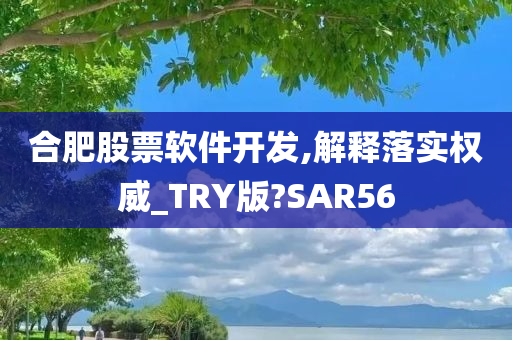 合肥股票软件开发,解释落实权威_TRY版?SAR56