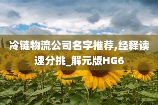 冷链物流公司名字推荐,经释读速分挑_解元版HG6