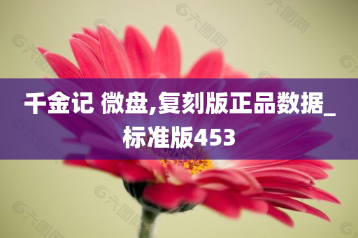 千金记 微盘,复刻版正品数据_标准版453