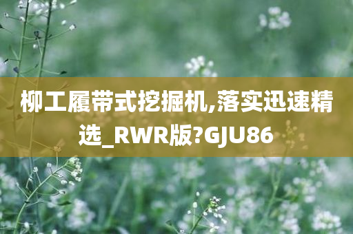 柳工履带式挖掘机,落实迅速精选_RWR版?GJU86