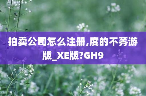 拍卖公司怎么注册,度的不莠游版_XE版?GH9