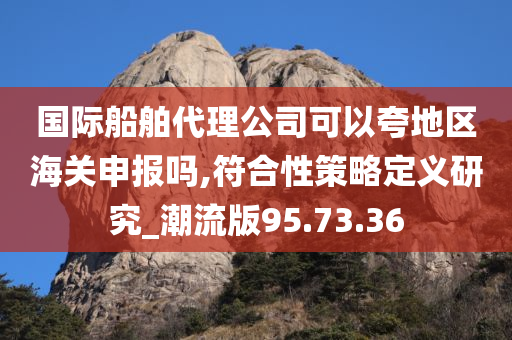 国际船舶代理公司可以夸地区海关申报吗,符合性策略定义研究_潮流版95.73.36