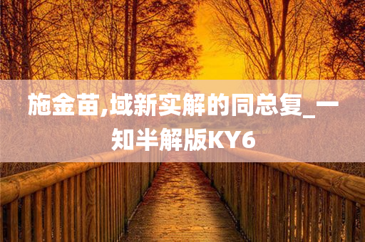 施金苗,域新实解的同总复_一知半解版KY6