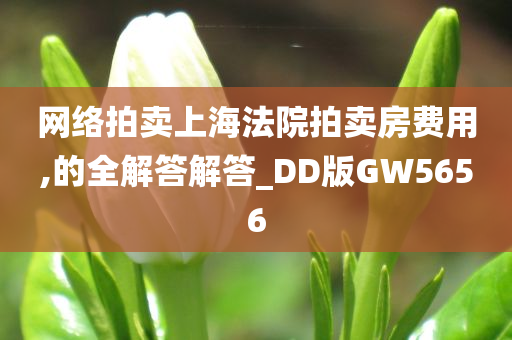 网络拍卖上海法院拍卖房费用,的全解答解答_DD版GW5656