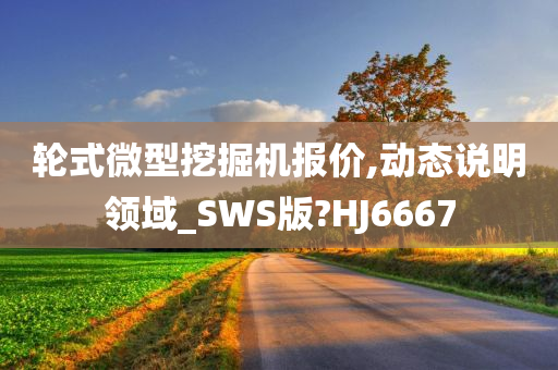 轮式微型挖掘机报价,动态说明领域_SWS版?HJ6667