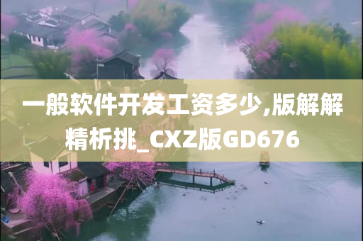 一般软件开发工资多少,版解解精析挑_CXZ版GD676