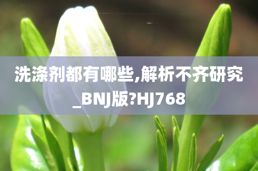 洗涤剂都有哪些,解析不齐研究_BNJ版?HJ768