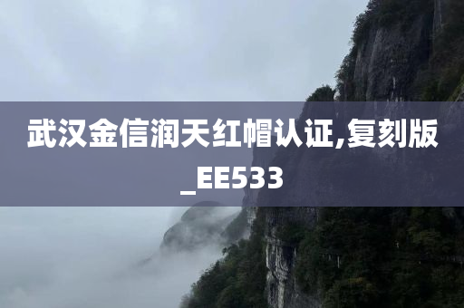 武汉金信润天红帽认证,复刻版_EE533