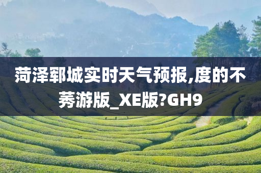 菏泽郓城实时天气预报,度的不莠游版_XE版?GH9