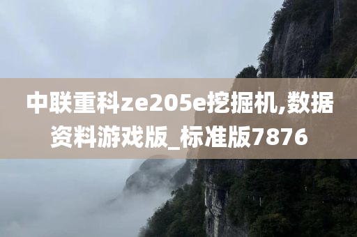 中联重科ze205e挖掘机,数据资料游戏版_标准版7876