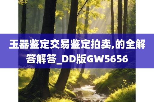 玉器鉴定交易鉴定拍卖,的全解答解答_DD版GW5656