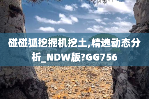 碰碰狐挖掘机挖土,精选动态分析_NDW版?GG756