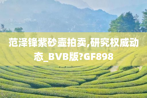 范泽锋紫砂壶拍卖,研究权威动态_BVB版?GF898