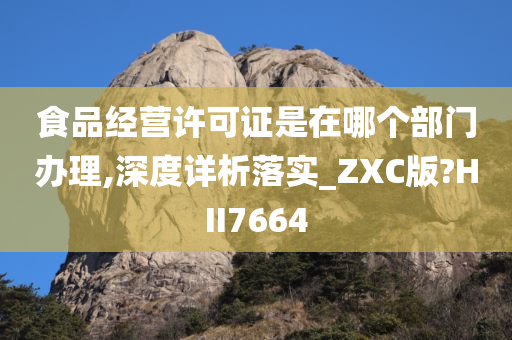 食品经营许可证是在哪个部门办理,深度详析落实_ZXC版?HII7664