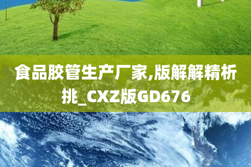 食品胶管生产厂家,版解解精析挑_CXZ版GD676