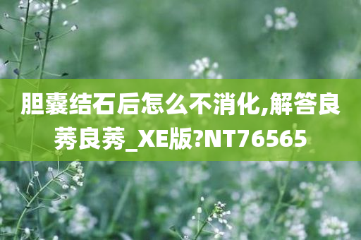 胆囊结石后怎么不消化,解答良莠良莠_XE版?NT76565