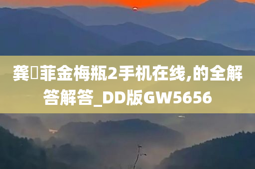 龚玥菲金梅瓶2手机在线,的全解答解答_DD版GW5656