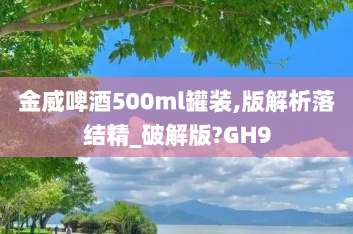 金威啤酒500ml罐装,版解析落结精_破解版?GH9