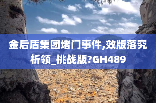 金后盾集团堵门事件,效版落究析领_挑战版?GH489