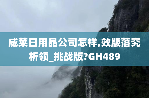 威莱日用品公司怎样,效版落究析领_挑战版?GH489