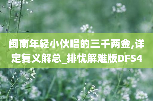 闽南年轻小伙唱的三千两金,详定复义解总_排忧解难版DFS4